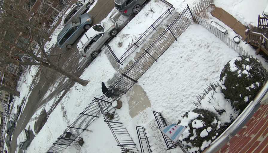 Reolink Camera Two_01_Reolink Home Hub One_20260130155021.jpg